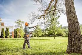  , USA Tree Removal and Landscaping Services Pros